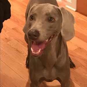 Meet your Posher, Kori